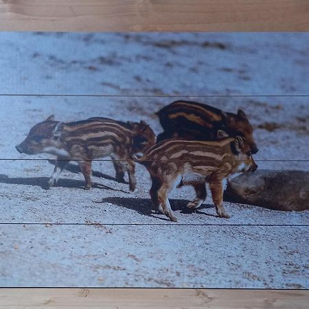 'T Zwientje Ermelo Exterior foto